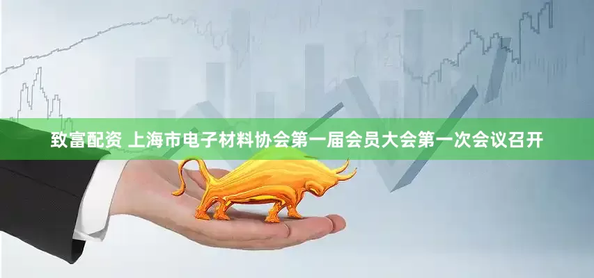 致富配资 上海市电子材料协会第一届会员大会第一次会议召开