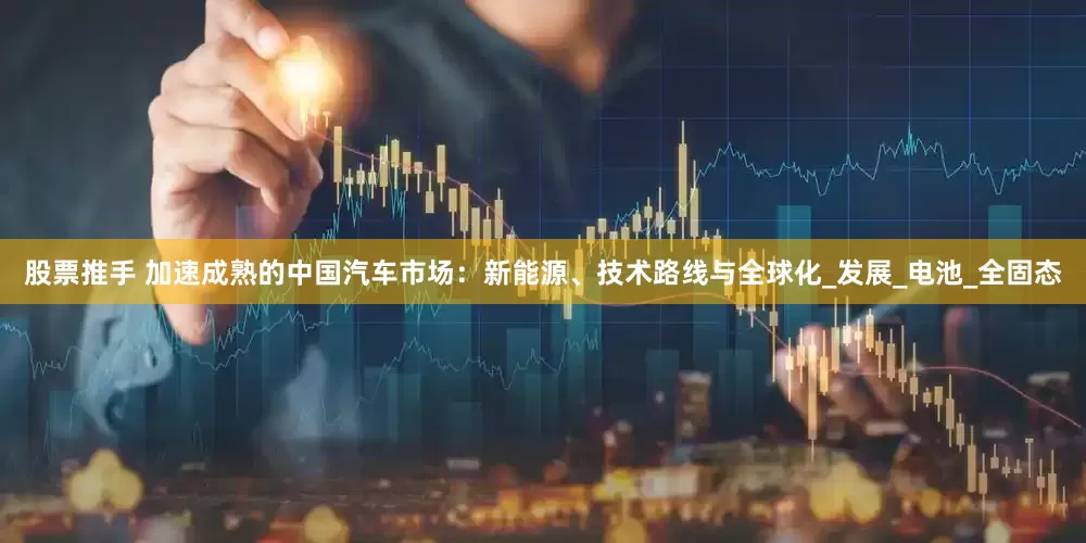 股票推手 加速成熟的中国汽车市场：新能源、技术路线与全球化_发展_电池_全固态