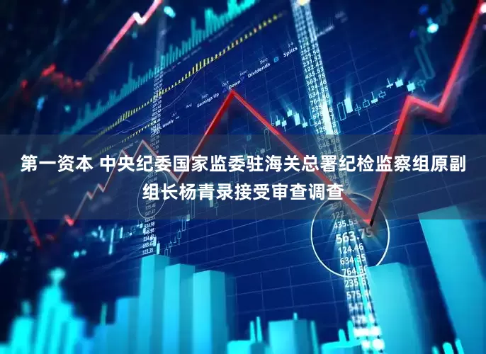 第一资本 中央纪委国家监委驻海关总署纪检监察组原副组长杨青录接受审查调查