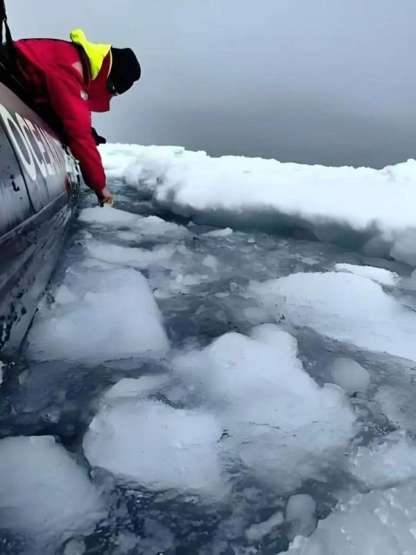 纯旭配资端 南极旅游价格大跳水，“从20万跌至5万”引热议，多家旅行社回应