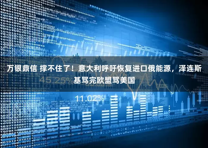 万银鼎信 撑不住了！意大利呼吁恢复进口俄能源，泽连斯基骂完欧盟骂美国
